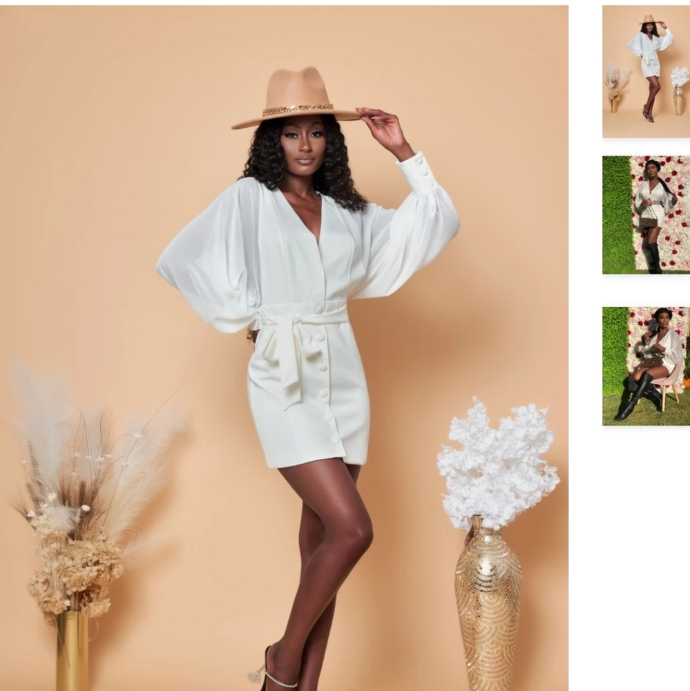 White Sheer Sleeve Dress